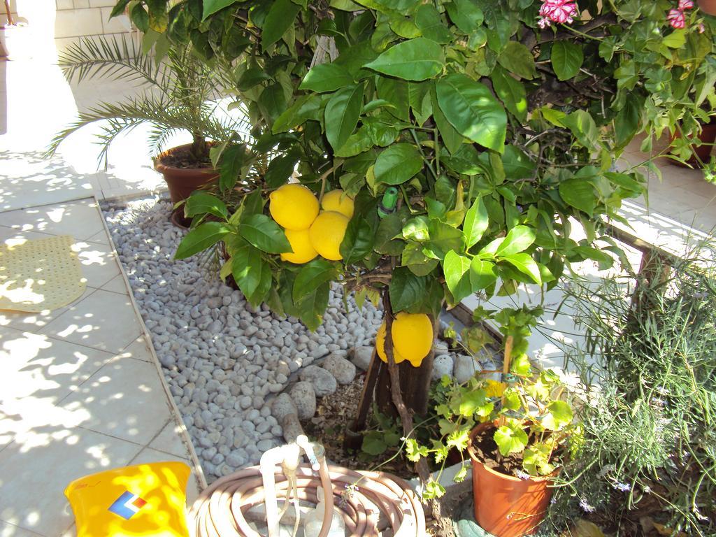 Apartment Lemon Dubrovnik Luaran gambar